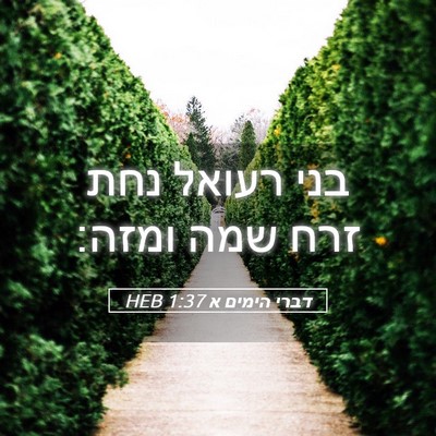 Picture 05 - דברי הימים א 1:37 HEB - בני רעואל נחת זרח שמה - Bible Verse Picture