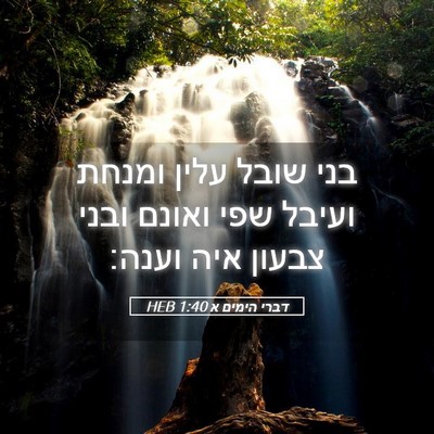 Picture 05 - דברי הימים א 1:40 HEB - בני שובל עלין ומנחת ועיבל - Bible Verse Picture