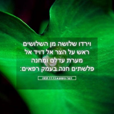 Picture 05 - דברי הימים א 11:15 HEB - וירדו שלושה מן השלושים ראש - Bible Verse Picture