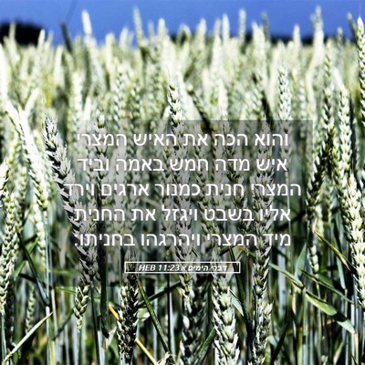 Picture 05 - דברי הימים א 11:23 HEB - והוא הכה את האיש המצרי איש - Bible Verse Picture