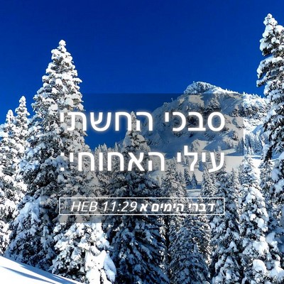 Picture 05 - דברי הימים א 11:29 HEB - סבכי החשתי עילי - Bible Verse Picture