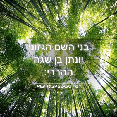 Picture 05 - דברי הימים א 11:34 HEB - בני השם הגזוני יונתן בן שגה - Bible Verse Picture