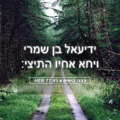 Picture 05 - דברי הימים א 11:45 HEB - ידיעאל בן שמרי ויחא אחיו - Bible Verse Picture