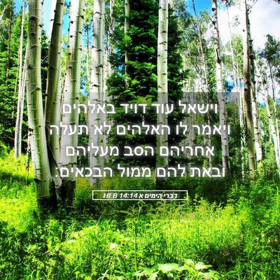 Picture 05 - דברי הימים א 14:14 HEB - וישאל עוד דויד באלהים - Bible Verse Picture
