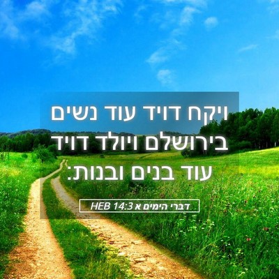 Picture 05 - דברי הימים א 14:3 HEB - ויקח דויד עוד נשים בירושלם - Bible Verse Picture