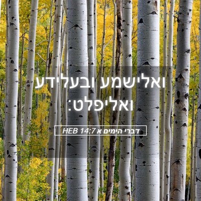 Picture 05 - דברי הימים א 14:7 HEB - ואלישמע ובעלידע - Bible Verse Picture