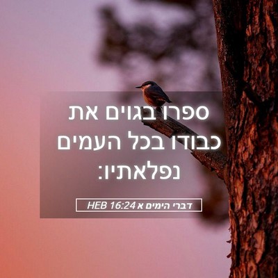 Picture 05 - דברי הימים א 16:24 HEB - ספרו בגוים את כבודו בכל - Bible Verse Picture