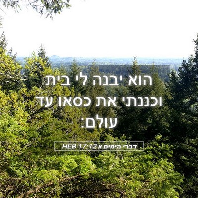 Picture 05 - דברי הימים א 17:12 HEB - הוא יבנה לי בית וכננתי את - Bible Verse Picture