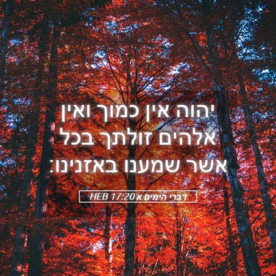 Picture 05 - דברי הימים א 17:20 HEB - יהוה אין כמוך ואין אלהים - Bible Verse Picture