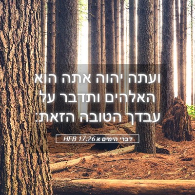 Picture 05 - דברי הימים א 17:26 HEB - ועתה יהוה אתה הוא האלהים - Bible Verse Picture