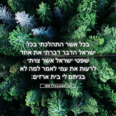 Picture 05 - דברי הימים א 17:6 HEB - בכל אשר התהלכתי בכל ישראל - Bible Verse Picture