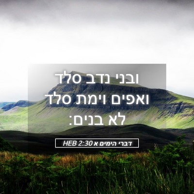 Picture 05 - דברי הימים א 2:30 HEB - ובני נדב סלד ואפים וימת סלד - Bible Verse Picture