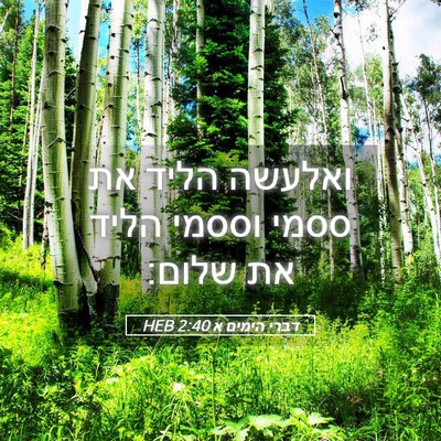 Picture 05 - דברי הימים א 2:40 HEB - ואלעשה הליד את ססמי וססמי - Bible Verse Picture