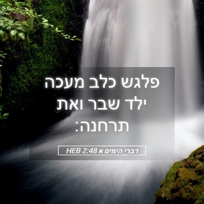 Picture 05 - דברי הימים א 2:48 HEB - פלגש כלב מעכה ילד שבר ואת - Bible Verse Picture