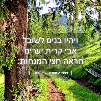 Picture 05 - דברי הימים א 2:52 HEB - ויהיו בנים לשובל אבי קרית - Bible Verse Picture