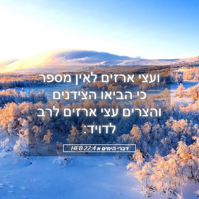 Picture 05 - דברי הימים א 22:4 HEB - ועצי ארזים לאין מספר כי - Bible Verse Picture