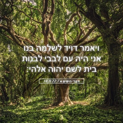 Picture 05 - דברי הימים א 22:7 HEB - ויאמר דויד לשלמה בנו אני - Bible Verse Picture