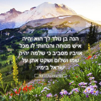 Picture 05 - דברי הימים א 22:9 HEB - הנה בן נולד לך הוא יהיה איש - Bible Verse Picture