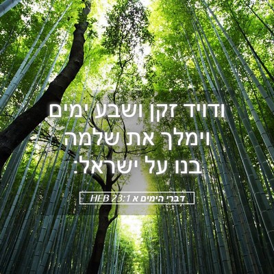 Picture 05 - דברי הימים א 23:1 HEB - ודויד זקן ושבע ימים וימלך - Bible Verse Picture