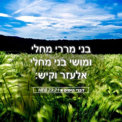 Picture 05 - דברי הימים א 23:21 HEB - בני מררי מחלי ומושי בני - Bible Verse Picture