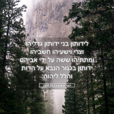 Picture 05 - דברי הימים א 25:3 HEB - לידותון בני ידותון גדליהו - Bible Verse Picture