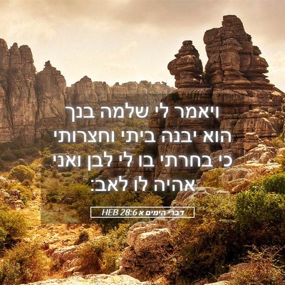 Picture 05 - דברי הימים א 28:6 HEB - ויאמר לי שלמה בנך הוא יבנה - Bible Verse Picture