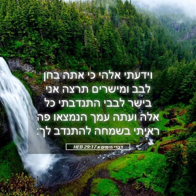 Picture 05 - דברי הימים א 29:17 HEB - וידעתי אלהי כי אתה בחן לבב - Bible Verse Picture