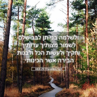 Picture 05 - דברי הימים א 29:19 HEB - ולשלמה בני תן לבב שלם לשמור - Bible Verse Picture