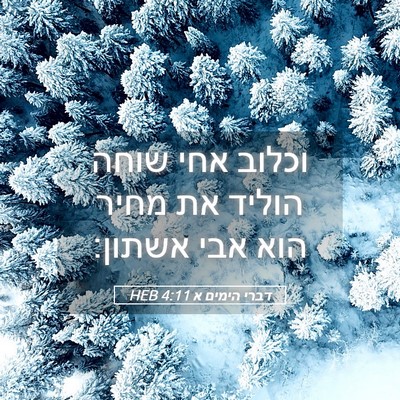 Picture 05 - דברי הימים א 4:11 HEB - וכלוב אחי שוחה הוליד את - Bible Verse Picture