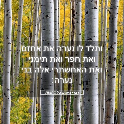 Picture 05 - דברי הימים א 4:6 HEB - ותלד לו נערה את אחזם ואת - Bible Verse Picture