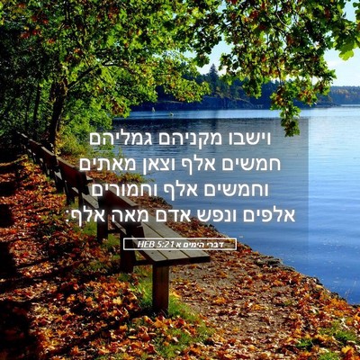 Picture 05 - דברי הימים א 5:21 HEB - וישבו מקניהם גמליהם חמשים - Bible Verse Picture
