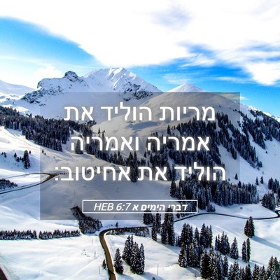Picture 05 - דברי הימים א 6:7 HEB - מריות הוליד את אמריה - Bible Verse Picture