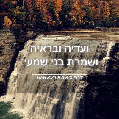 Picture 05 - דברי הימים א 8:21 HEB - ועדיה ובראיה ושמרת בני - Bible Verse Picture