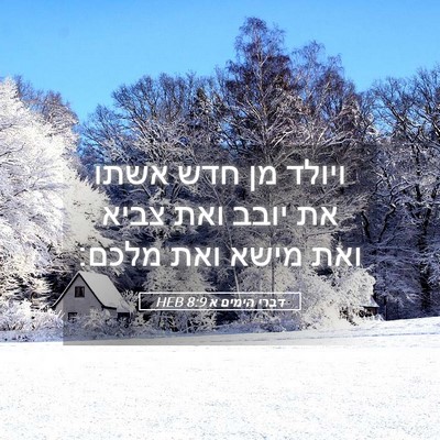 Picture 05 - דברי הימים א 8:9 HEB - ויולד מן חדש אשתו את יובב - Bible Verse Picture