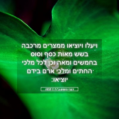 Picture 05 - דברי הימים ב 1:17 HEB - ויעלו ויוציאו ממצרים מרכבה - Bible Verse Picture