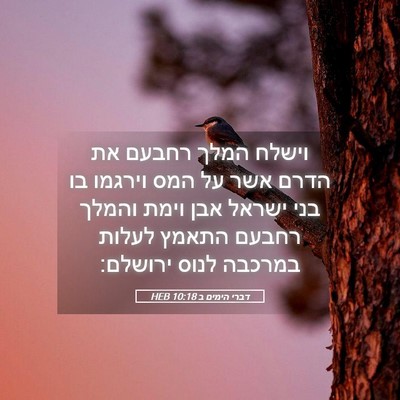 Picture 05 - דברי הימים ב 10:18 HEB - וישלח המלך רחבעם את הדרם - Bible Verse Picture