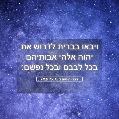 Picture 05 - דברי הימים ב 15:12 HEB - ויבאו בברית לדרוש את יהוה - Bible Verse Picture