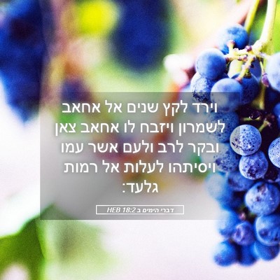 Picture 05 - דברי הימים ב 18:2 HEB - וירד לקץ שנים אל אחאב - Bible Verse Picture