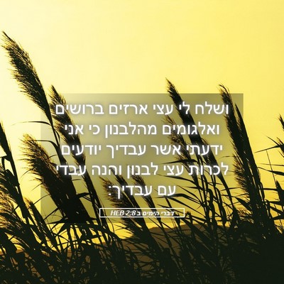 Picture 05 - דברי הימים ב 2:8 HEB - ושלח לי עצי ארזים ברושים - Bible Verse Picture