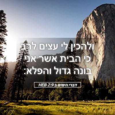 Picture 05 - דברי הימים ב 2:9 HEB - ולהכין לי עצים לרב כי הבית - Bible Verse Picture