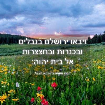 Picture 05 - דברי הימים ב 20:28 HEB - ויבאו ירושלם בנבלים - Bible Verse Picture