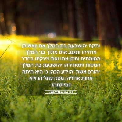 Picture 05 - דברי הימים ב 22:11 HEB - ותקח יהושבעת בת המלך את - Bible Verse Picture