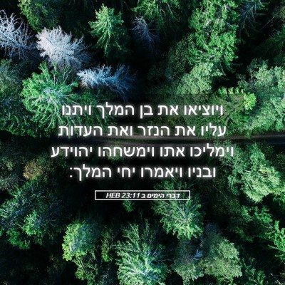 Picture 05 - דברי הימים ב 23:11 HEB - ויוציאו את בן המלך ויתנו - Bible Verse Picture