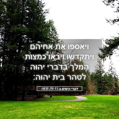 Picture 05 - דברי הימים ב 29:15 HEB - ויאספו את אחיהם ויתקדשו - Bible Verse Picture