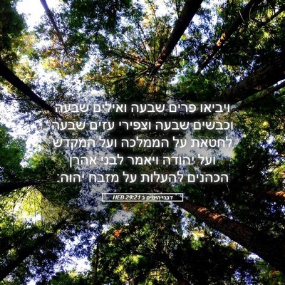 Picture 05 - דברי הימים ב 29:21 HEB - ויביאו פרים שבעה ואילים - Bible Verse Picture