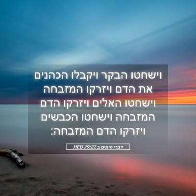 Picture 05 - דברי הימים ב 29:22 HEB - וישחטו הבקר ויקבלו הכהנים - Bible Verse Picture