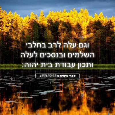 Picture 05 - דברי הימים ב 29:35 HEB - וגם עלה לרב בחלבי השלמים - Bible Verse Picture