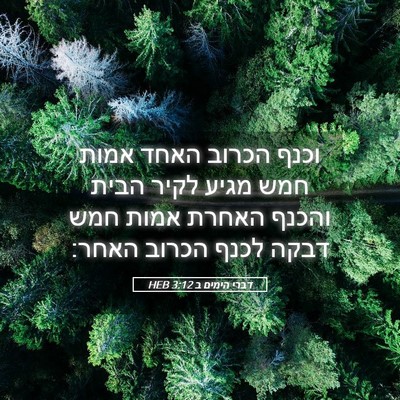 Picture 05 - דברי הימים ב 3:12 HEB - וכנף הכרוב האחד אמות חמש - Bible Verse Picture