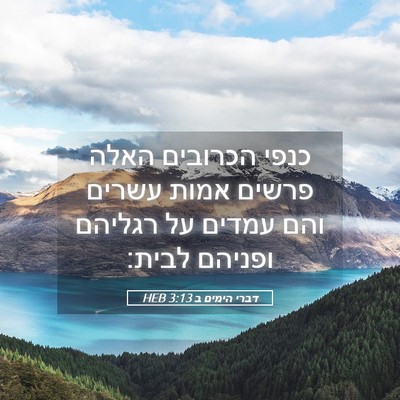 Picture 05 - דברי הימים ב 3:13 HEB - כנפי הכרובים האלה פרשים - Bible Verse Picture