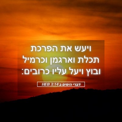 Picture 05 - דברי הימים ב 3:14 HEB - ויעש את הפרכת תכלת וארגמן - Bible Verse Picture